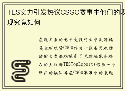 TES实力引发热议CSGO赛事中他们的表现究竟如何